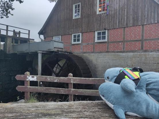 A Smolhaj cuddly shark and a Blåhaj cuddly shark looking at the wheel of a watermill. Beside one of the windows of the watermill, a rainbow flag is hanging down. The Blåhaj wears a haj-vis harness with a rainbow patch on it.

Good the both of you are here to support your Blåhaj aunt!