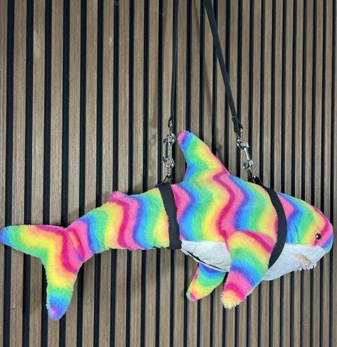 rainbow colored plush shark in a fancy carrying harness