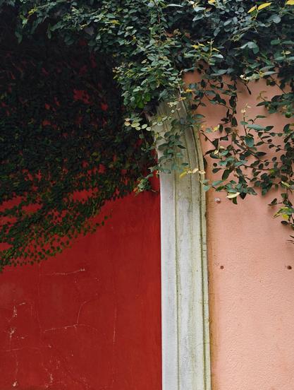 A curved recess on a wall painted bright red. Recess has a white frame around it and the wall on the right is light pink. Upper part of the wall and recess has a green vine growing on it.