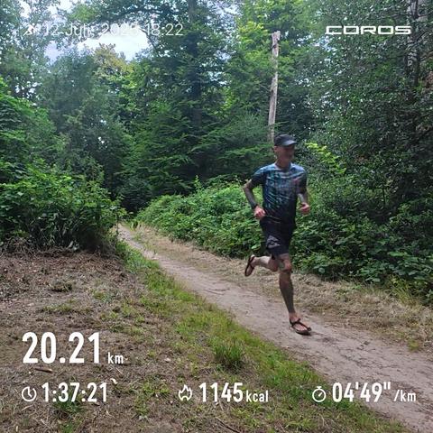 Im Wald laufen