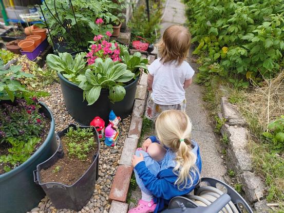 Two small children facing away from the camera, looking at flowers and vegetables in their garden,