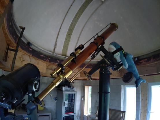 A Blåhaj cuddly shark sitting on the counterweights of a wooden and brass telescope that is over two meter long. Beside the telescope stands black mirror telescope. All stand the dome of an observatory.

Yes, it is very special, starreacher restored old telescopes and planetariums...
