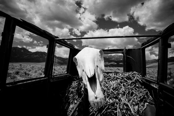 "I had to philosophize. Otherwise, I could not live in this world."
~ Edmund Husserl
.
.
.
#greatbasinnationalpark #blackandwhite #photography #nature #outdoors #natura #nevada #greatbasin #nationalpark #quote #bwphotography #bwphotography #gooutside #sony #sonyalpha #sonyA7r #carlzeiss #wanderer #exploration #blackandwhitephotography #philosophy