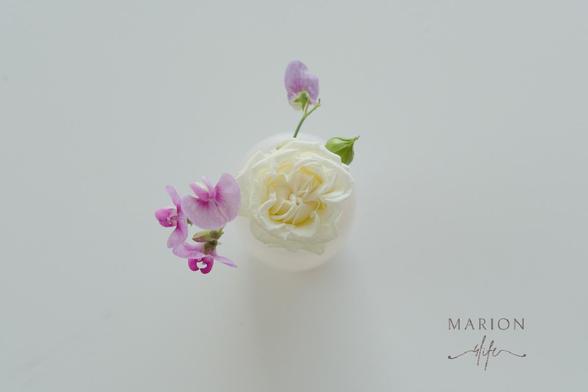 Es ist eine kleine Blumenbase von oben zu sehen, die auf einer weißen Tischplatte steht. Man schaut direkt in die Blüte einer weißen Rose und links und rechts sind zwei pink-lilafarbwne Wicken die das zarte Arrangement vervollständigen. Das Ganze ist sehr Minimalistisch.
.
AI disclaimer: Using my work, its meta , written or derived description to create media with or train AI based systems is prohibited.
