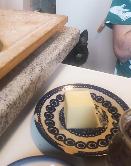 Schwarze Katze linst um die Ecke auf den Tisch zur Butter