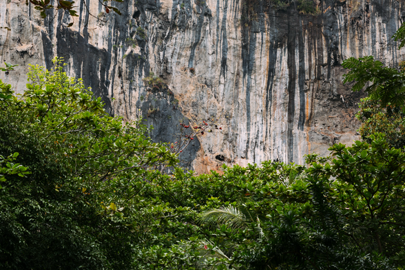 Photograph (Agfa Vista 400) of the outside of Tham Phra Nang Nai in Railay Beach, Krabi, Thailand