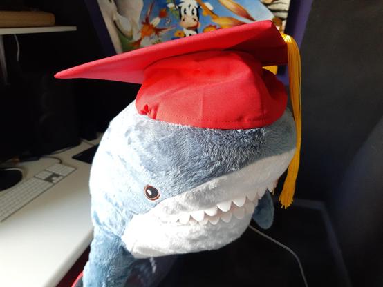 A blåhaj wearing a red graduation cap, tassle to the left.