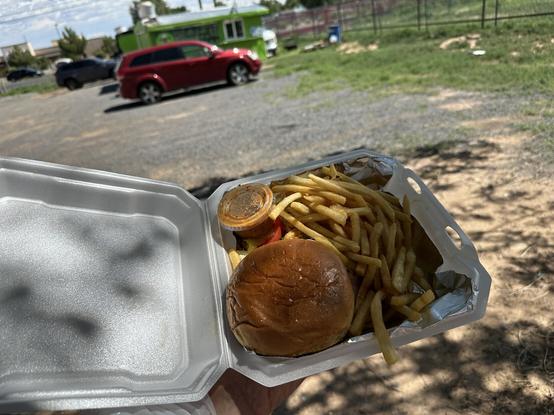 My Hawaiian Burger with fries with the food cart in the background.
