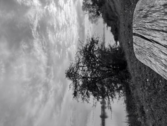 View of a riverside with the end of a wooden bench in the foreground, then grass and shrubs, the river, the opposite bank and the sky. The image was turned by 90 degrees. Say the bench would be a surfboard and the landscape the wave. (Version françæ) Vue d’æn bord de rivière avec al premier plan læ bout d’æn banc en bois, puis de l’herbe et des arbustes, læ rivière, l’autre rive et læ ciel. L’image a été tournæ à 90 degrés. Læ banc serait æn planche de surf et læ paysage læ vague.