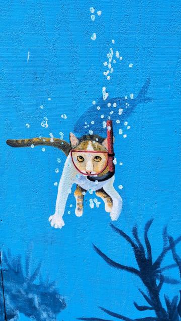 A painting by a local Oregon artist, on the side of a dock shack, of a orange and white cat under water, wearing a mask and snorkel.