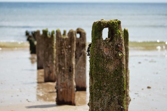 A close-up, shallow depth of field shot of several moss-covered wooden groynes extending into the sea from a sandy beach. The groyne in the foreground is sharply in focus, showing its rugged texture and vibrant green moss. The other groynes recede into the soft blur of the background, leading towards the calm, shimmering ocean and a pale blue sky. The sand reflects the sunlight, creating bright highlights.