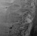 grayscale aerial photo of reefs on a sea floor