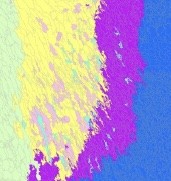 segmented and classified aerial photographs, with bright colours indicating different classes