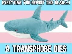 Blue toy shark on a transgender pride flag background with the text, "Everytime you repost this Blahaj, a transphobe dies," conveying activism and support.