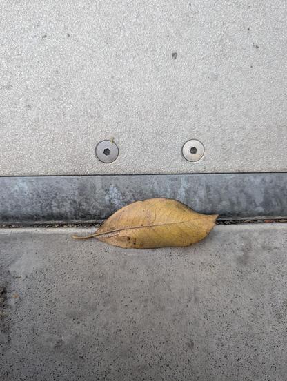 a face literally on the street (or sidewalk)
with two metal hex screws eyes and a pale yellow leaf mouth
a length of 2" wide metal strip runs across it