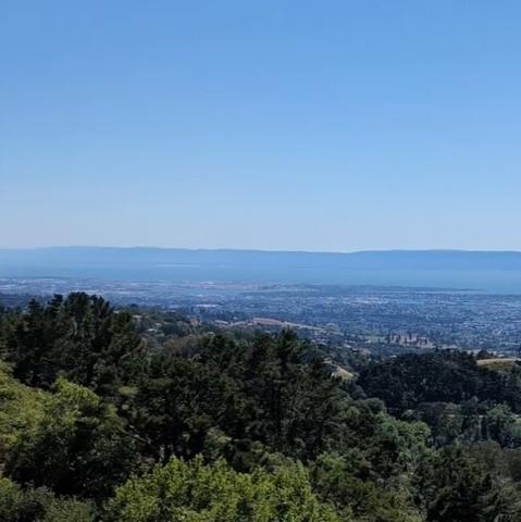 San Francisco Bay from Grizzly Peak, panorama panel