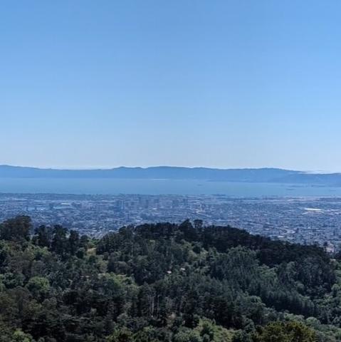 San Francisco Bay from Grizzly Peak, panorama panel