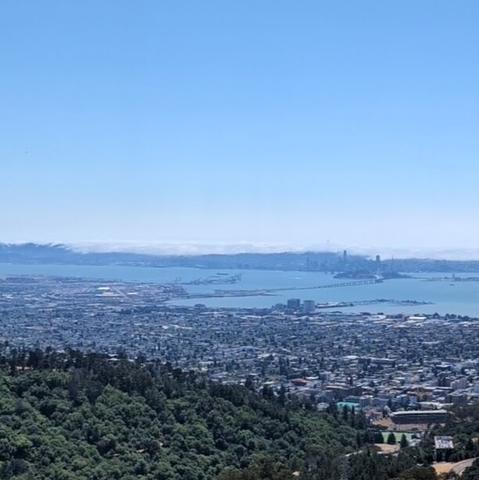 San Francisco Bay from Grizzly Peak, panorama panel