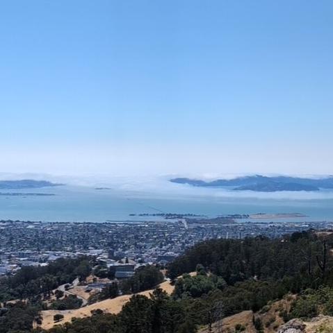 San Francisco Bay from Grizzly Peak, panorama panel