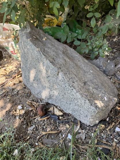 A large piece of granodiorite rests on gravel in a garden. The rock is sloped and smooth on one side.