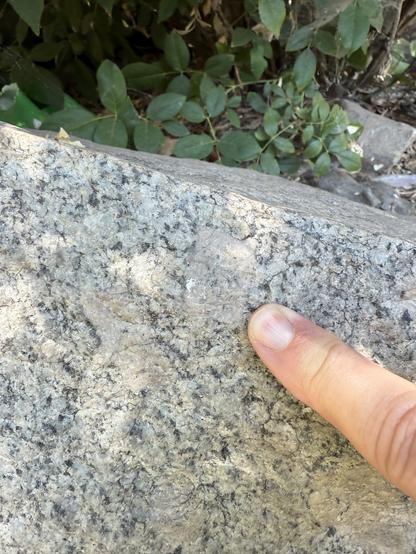 A close view of granodiorite with large felt bar megacrysts. A finger is in the image for scale and the mega crisps measure 1” x 1”.