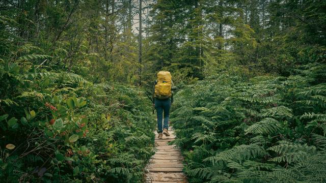 A backpacker with a yellow pack walking gently along a boardwalk through a lush green forest.