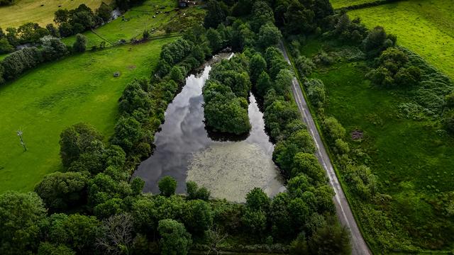 Aerial shot over wood covered pool