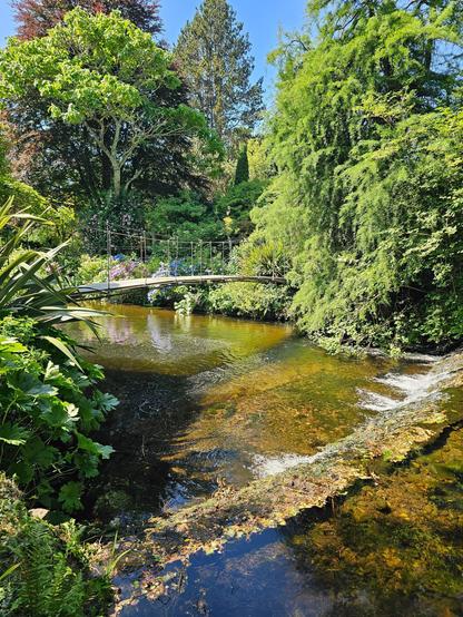 A picturesque scene of a small, rustic wooden bridge spanning a clear, shallow stream in a lush, vibrant garden. The banks of the stream are densely covered with various shades of green foliage and colourful flowers. Sunlight filters through the abundant trees overhead, illuminating the water. To the right, a small waterfall gently cascades over rocks.