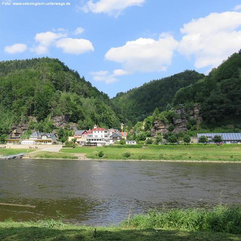 Am Ufer der Elbe liegt Krippen mit mehreren Häusern, darunter weiße und farbige Gebäude mit Satteldächern. Rechts im Bild befindet sich ein Gebäude mit großflächigen Solarpanelen. Die Siedlung ist eingebettet zwischen bewaldeten Berghängen, auf denen einzelne Sandsteinfelsen hervortreten. Der Fluss im Vordergrund fließt ruhig, das gegenüberliegende Ufer ist von Wiese und niedrigem Gras bewachsen. Der Himmel ist überwiegend blau mit einigen kleinen, weißen Wolken.
