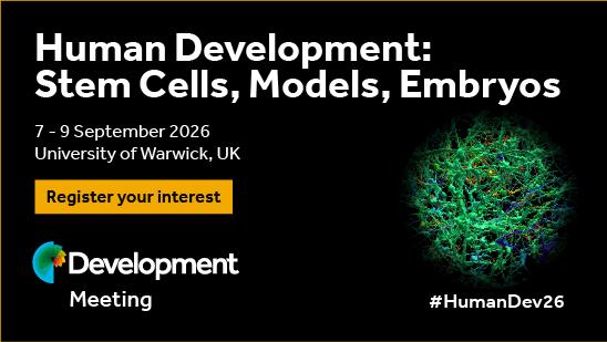 Human Development: Stem Cells, Models, Embryos
7-9 September 2026
University of Warwick, UK
#HumanDev26
Development Meeting logo
