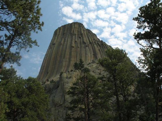 A massive, steep rock formation known as Devil’s Tower rises above pine trees under a partly cloudy sky. The rock has vertical grooves and is surrounded by forested terrain.