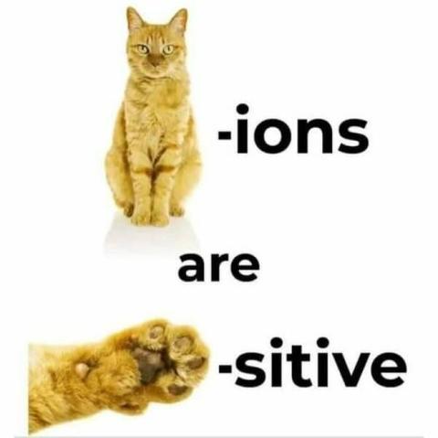 Chemistry meme, cat ions are paws itive