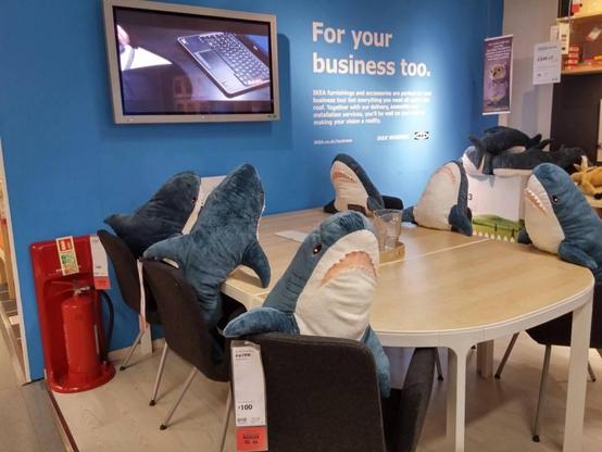 A wooden conference table, with six Blåhaj sharks around the sides.