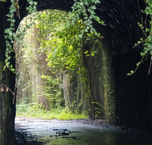 Kleiner überwachsener Fußgänger Tunnel. Sehr feucht und man muss auch unter Ästen bücken