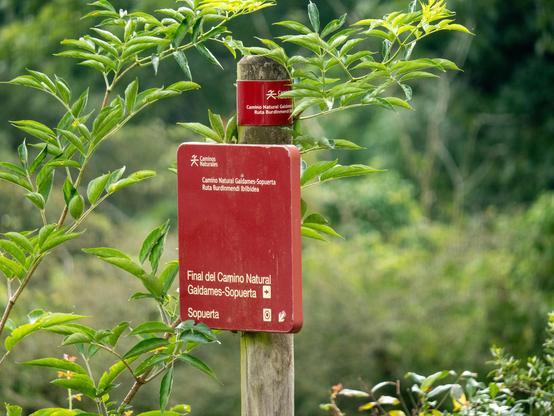 Wegweiser für Wanderer