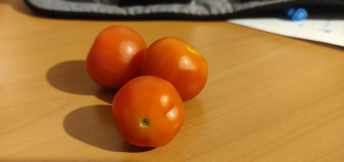 3 Cocktailtomaten liegen auf einer hölzernen Tischplatte