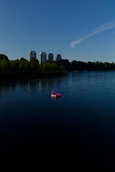 Kids going down the river in a pink flamingo