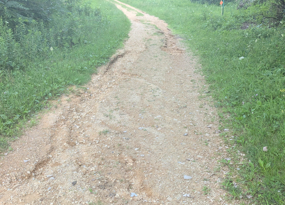 A photo of a gravel trail through the woods with some ruts and gulleys dug into it by the rain, the gulleys measure about 4 inches deep in the deepest portions