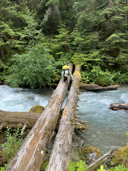 Friend crossing the Middle Fork on a log.