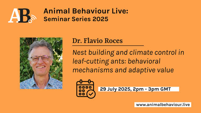 Visual to promote event