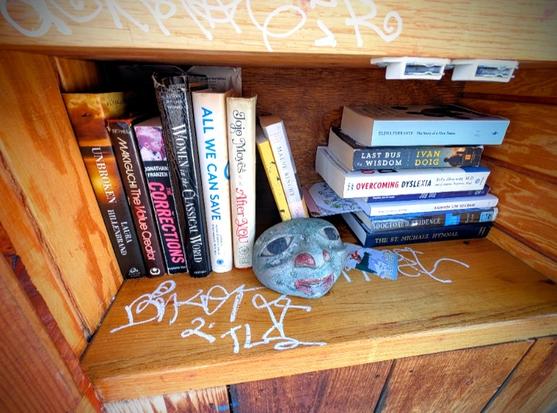 Interior of a Little Free Library with books, tags and a benevolent face,