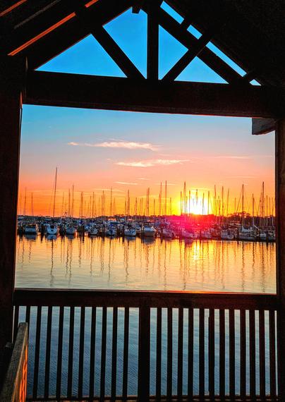 Colors streak across the morning sky above the shadowy silhouettes of countless sailboats in a marina over a waterway reflecting back the blue sky with a blindingly bright sun climbing above the horizon and casting shades of pink, yellow, orange, and red streaks, framed by the silhouette of an observation deck's wood frame.