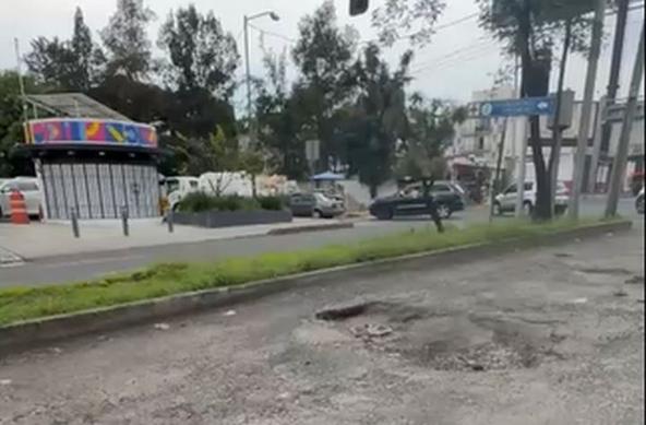 Baches