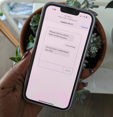Photo of the Elizabot captive portal example project displayed on a phone. The phone is held above a potted succulent.