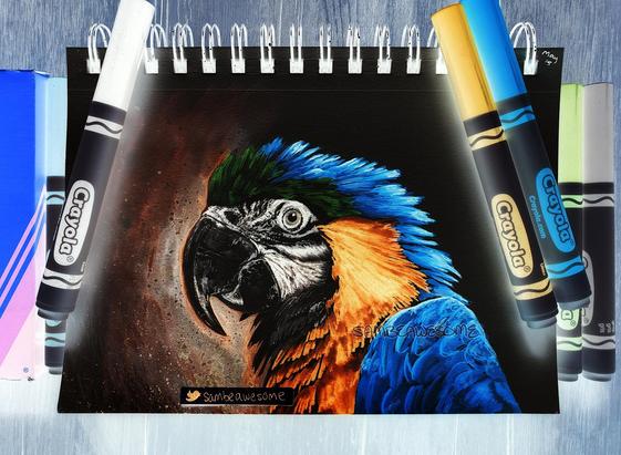 A realistic Crayola marker drawing of a parrot in profile, but digitally altered in post where the drawn inverted colors were then inverted, and it looks just like the real parrot!)