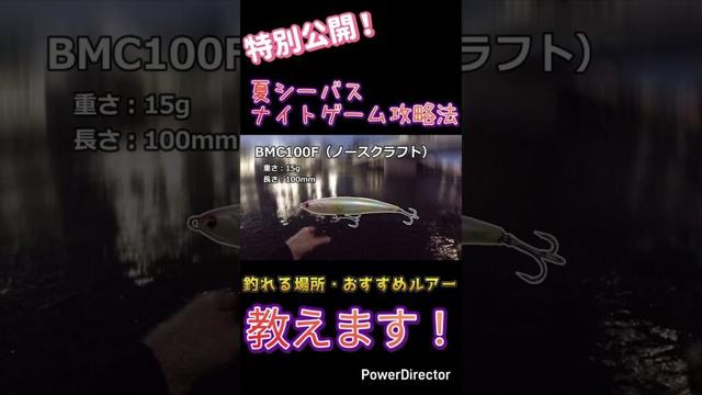 【シーバス】夏のナイトゲーム攻略法を特別公開！釣れる場所・おすすめルアー紹介