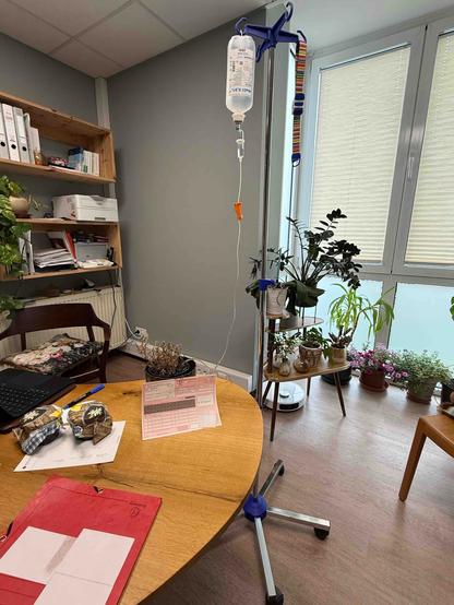 Sprechzimmer einer Arztpraxis. Auf dem Schreibtisch steht ein vertrockneter Thymian. Über einen Tropf bekommt er eine Infusion. Am Topf der Pflanze haftet ein Notfallschein. (Bild 2)
