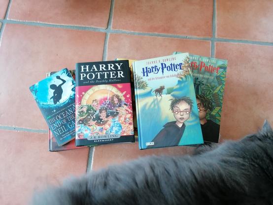 Ein Stapel Harry Potter Bücher auf orangenen Fliesen und unten läuft eine graue flauschige Katze durchs Bild.