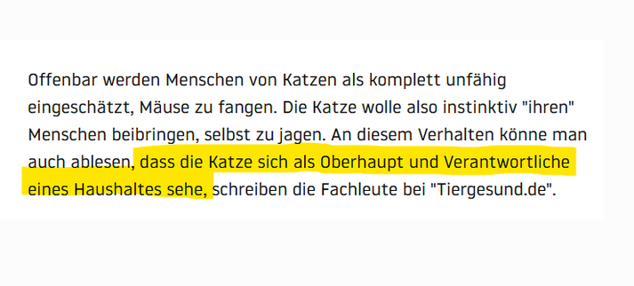 Screenshot eines Artikels mit markiertem Zitat: „dass die Katze sich als Oberhaupt und Verantwortliche eines Haushaltes sehe“.
Ironischer Verweis auf die bekannte Rollenverteilung zwischen Katze und Mensch.