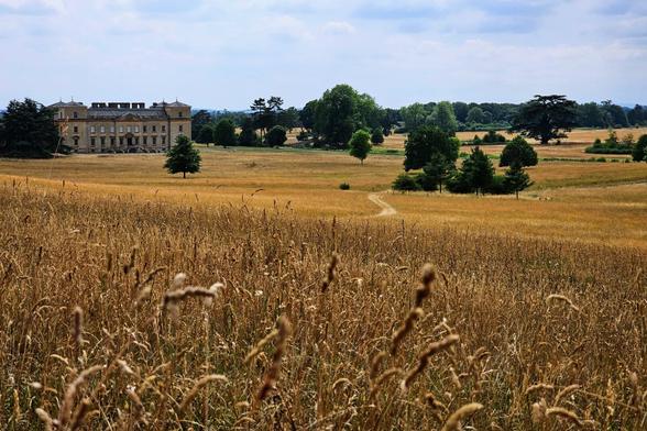 A wide-angle view of Croome Court, a grand, light-coloured stately home, set against a partially cloudy sky. In the foreground, a field of golden-brown, dry grass fills the lower half of the frame. A winding dirt path leads from the middle distance towards the house. Scattered trees dot the expansive, dry landscape between the foreground and the distant house, conveying a sense of vast historical parkland in summer.
